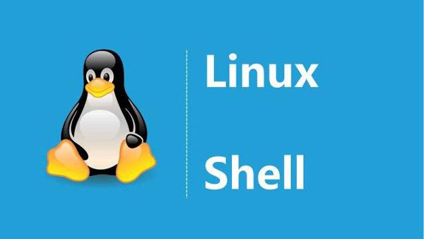 linux shell 中的反引号